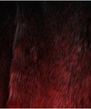 UC2B1301-1 詳細画像 BLACK/RED 8